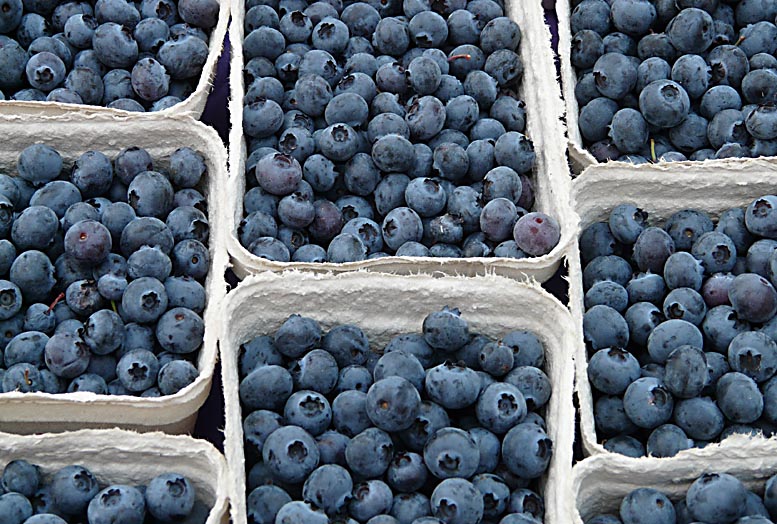 frutas Chile Turquía