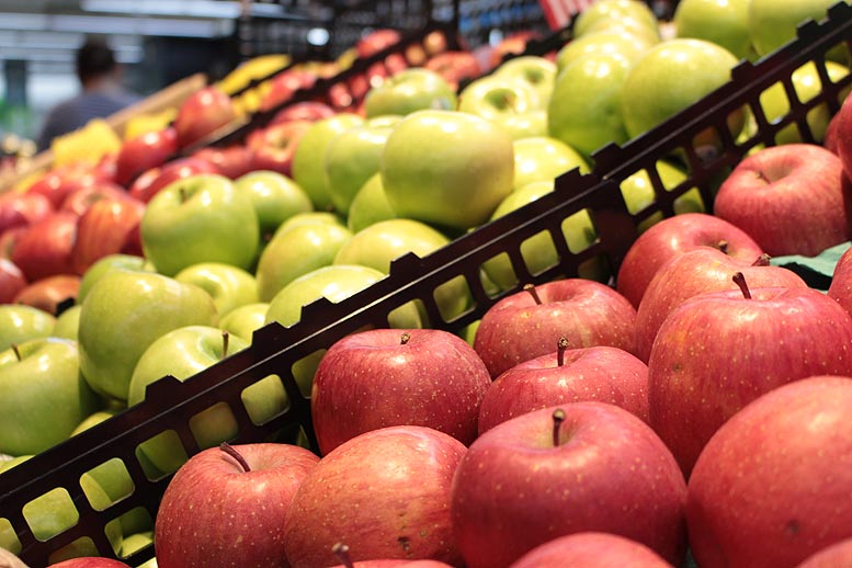 exportación de frutas y hortalizas