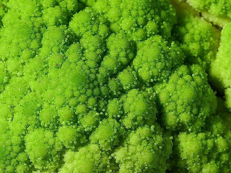 vegetales congelados