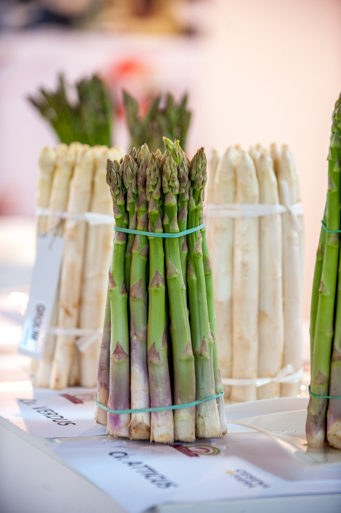 International Asparagus Days