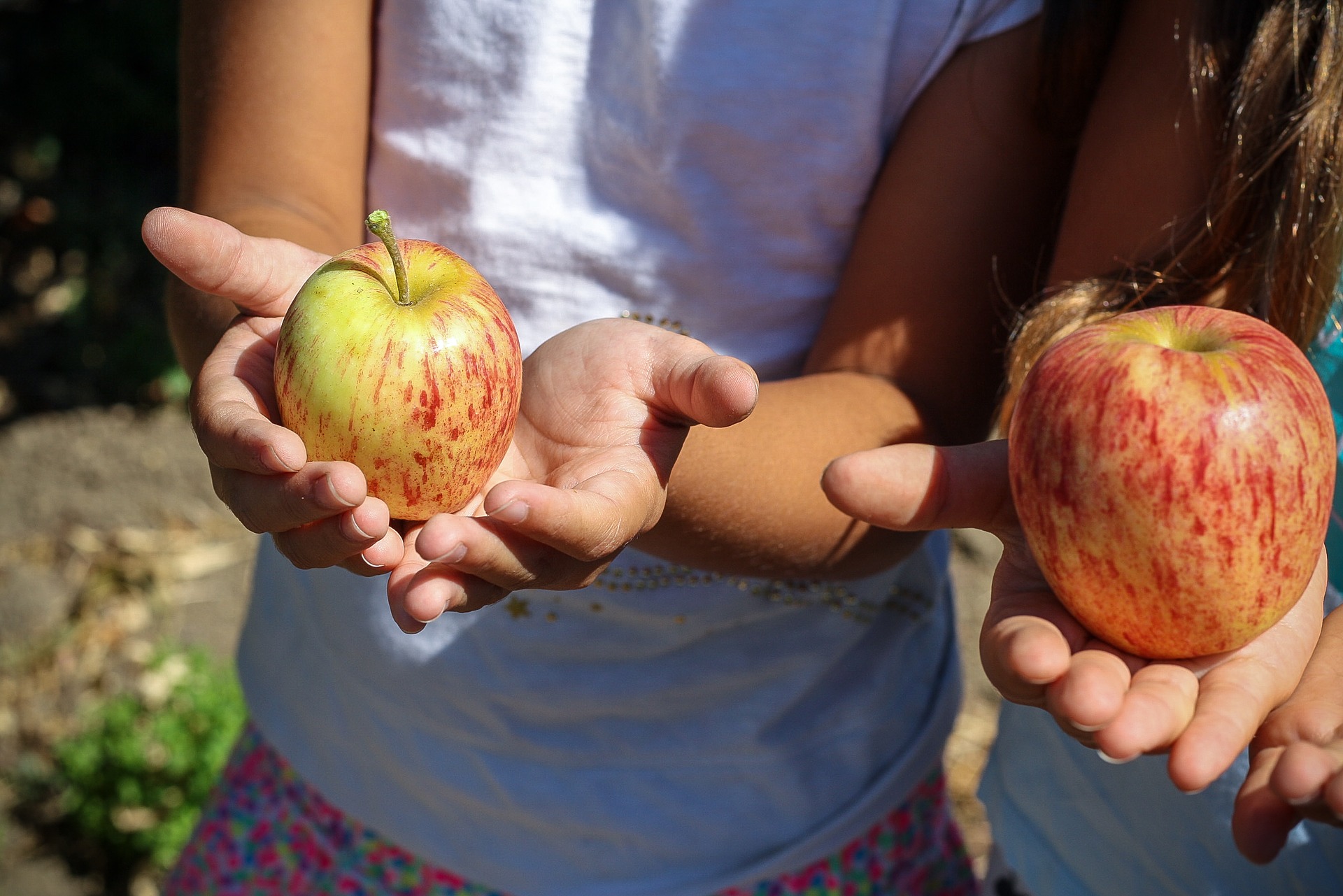 fruta