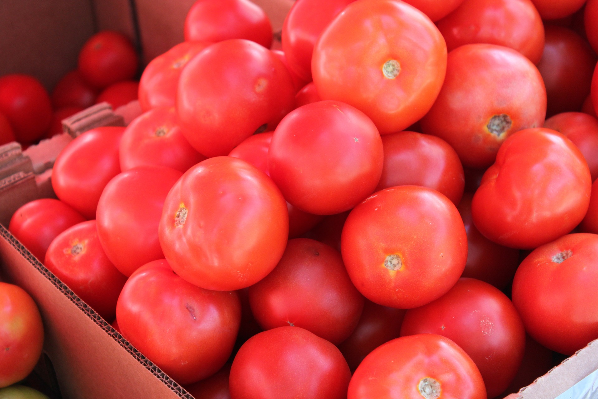 Andalucía tomate