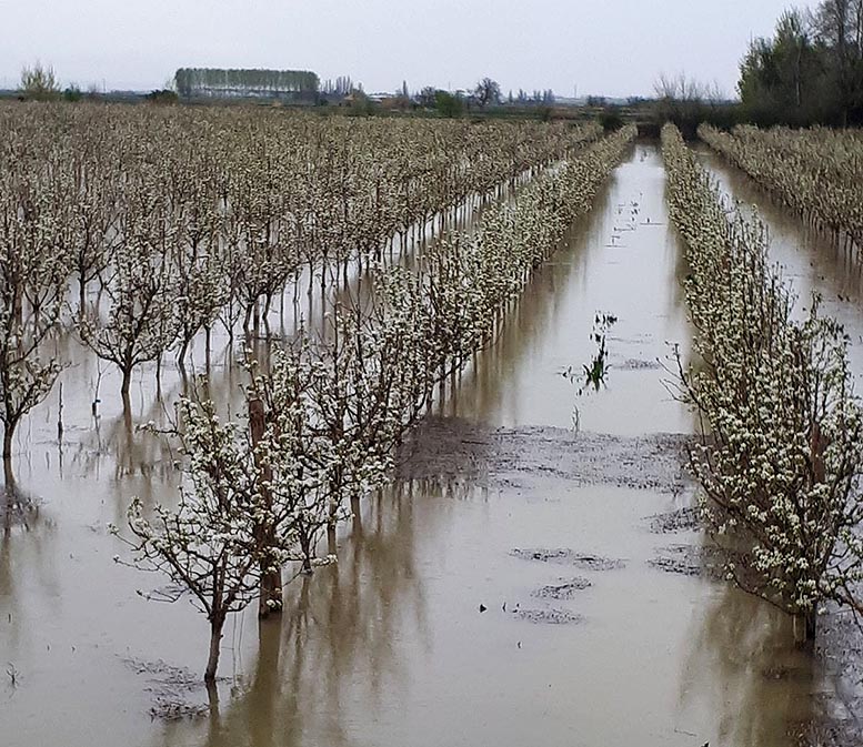 daños en el campo español