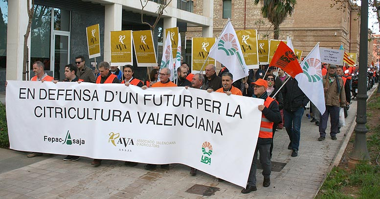 citricultores