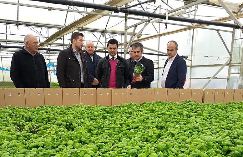 organización de productores