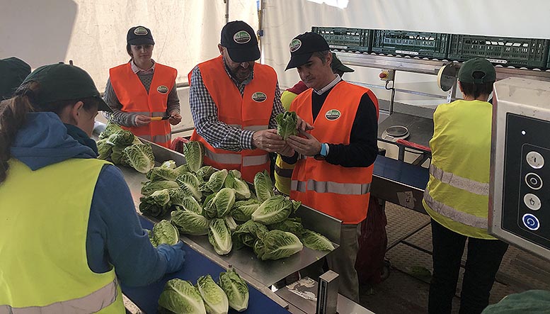 plataformas hortícolas