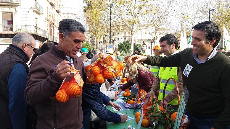 naranjas