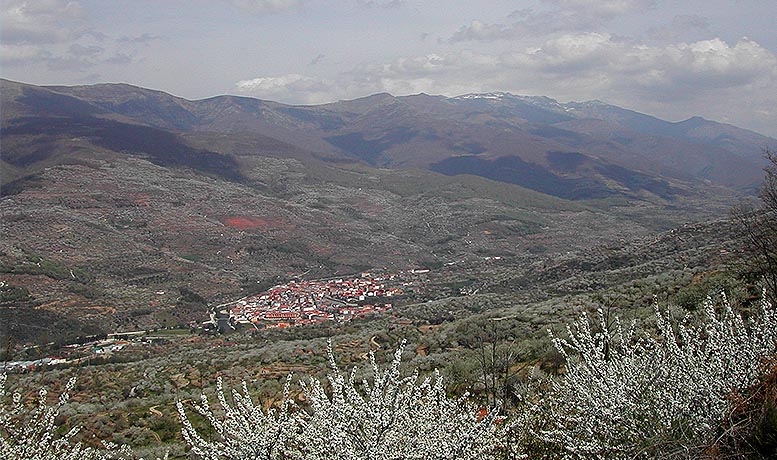 jóvenes agricultores