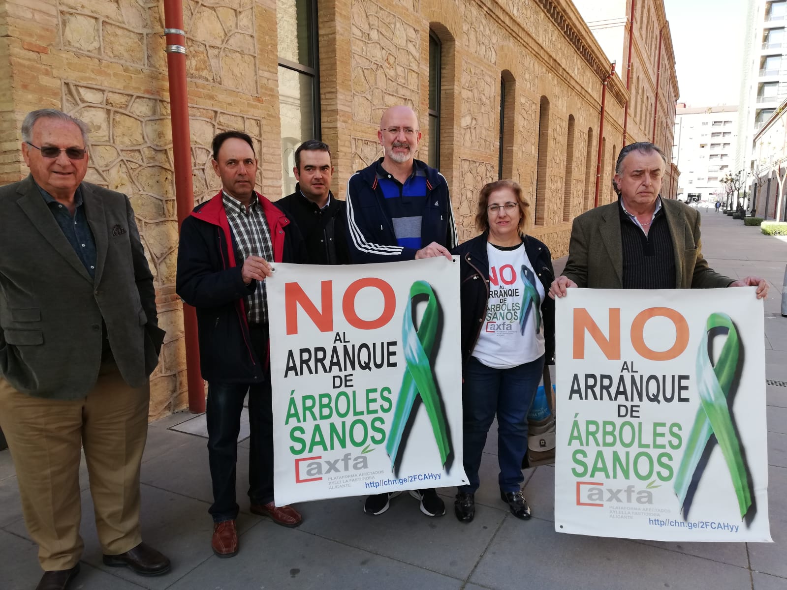 Décimo brote de Xylella