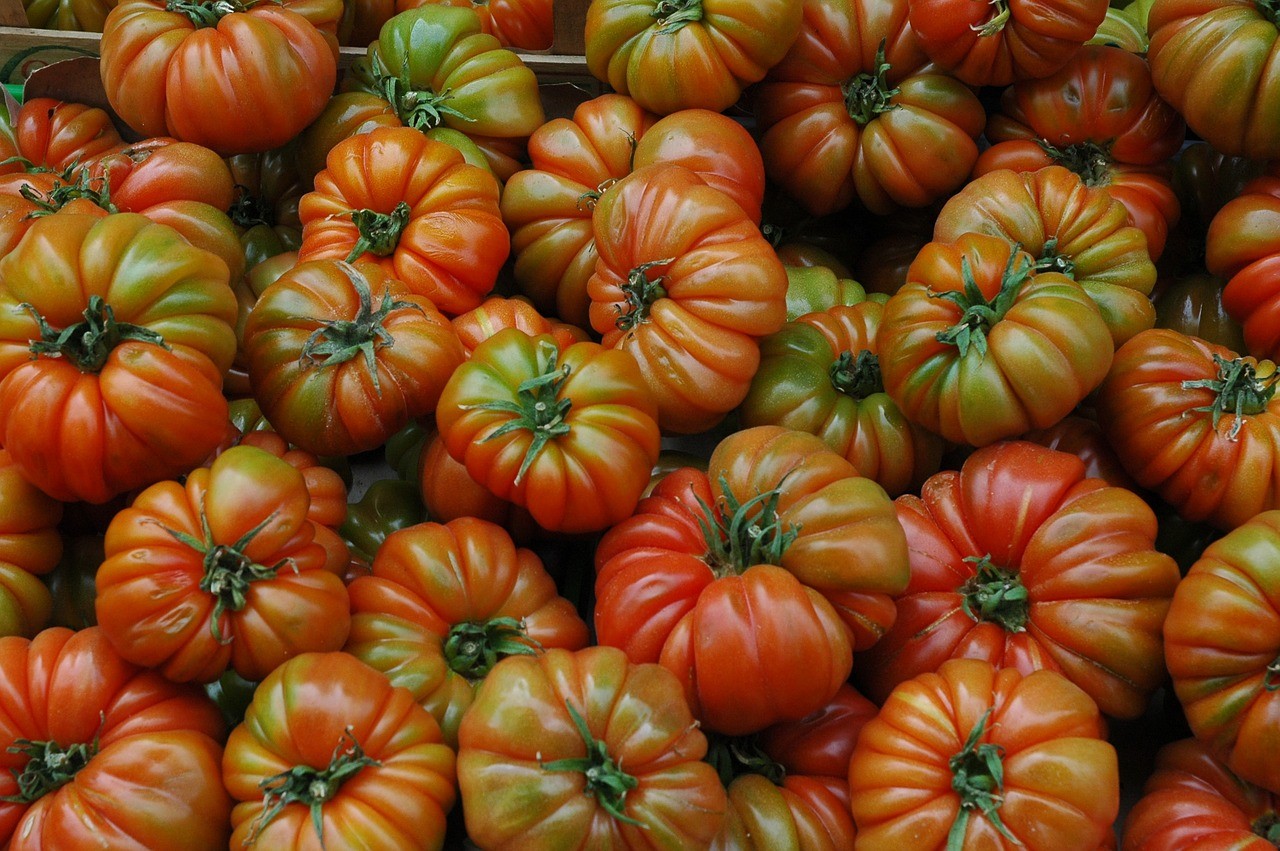tomate Raf