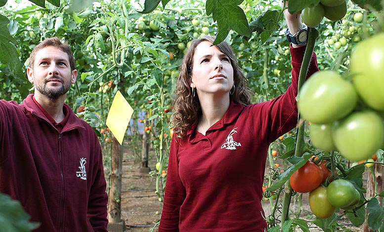 Grupo La Cana A La Cabeza En El Decalogo De Sostenibilidad Del Ministerio grupo la cana a la cabeza en el decalogo de sostenibilidad del ministerio