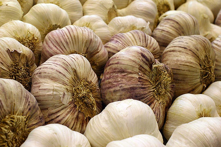 ajo