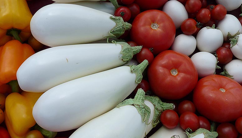 exportaciones agroalimentarias valencianas