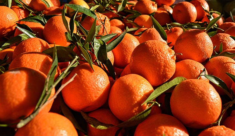 ventas de frutas y hortalizas españolas frescas en Canadá