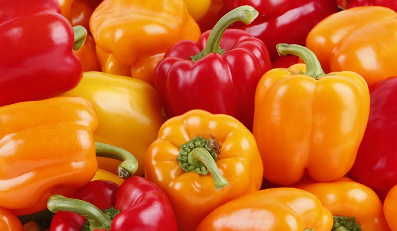 exportaciones de frutas y hortalizas