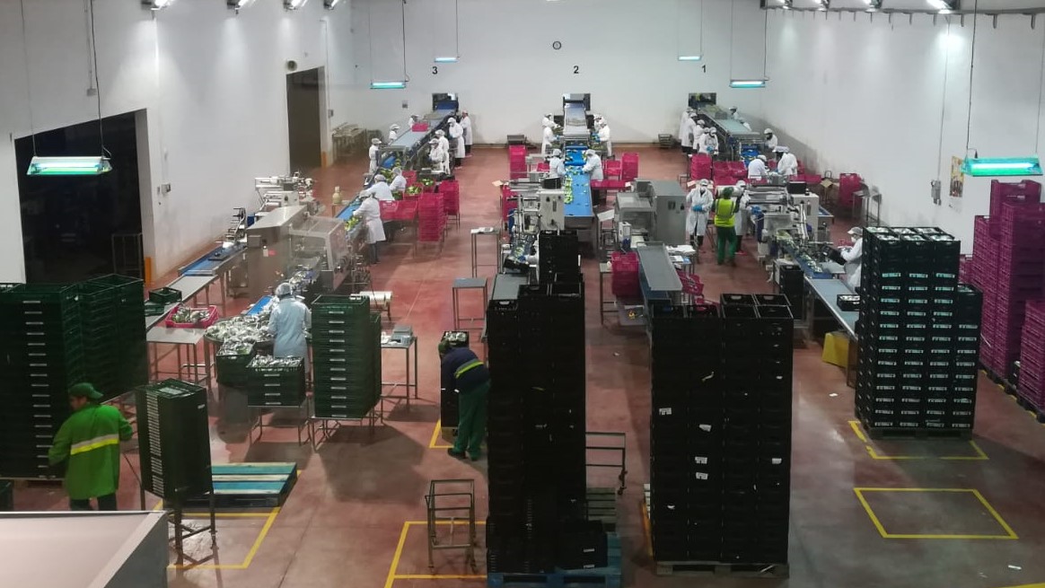Proexport Región de Murcia