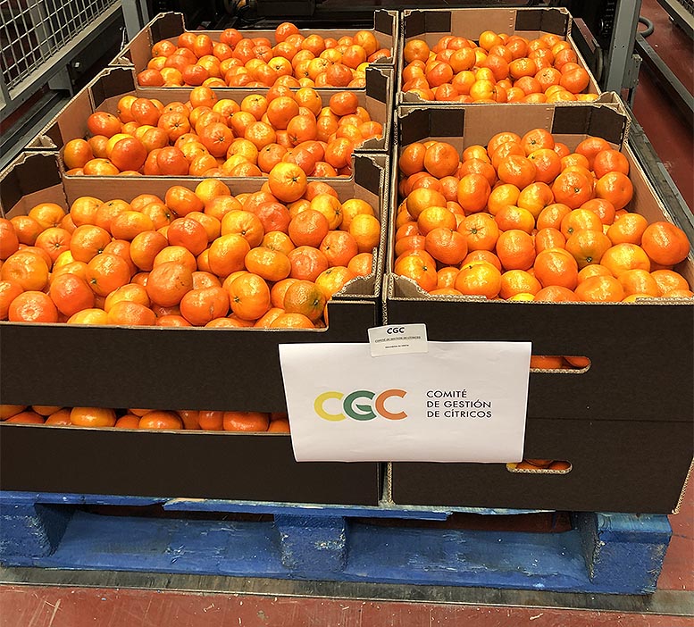 Comité de Gestión de Cítricos