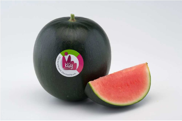 Grupo Agroponiente campaña sandía y melón