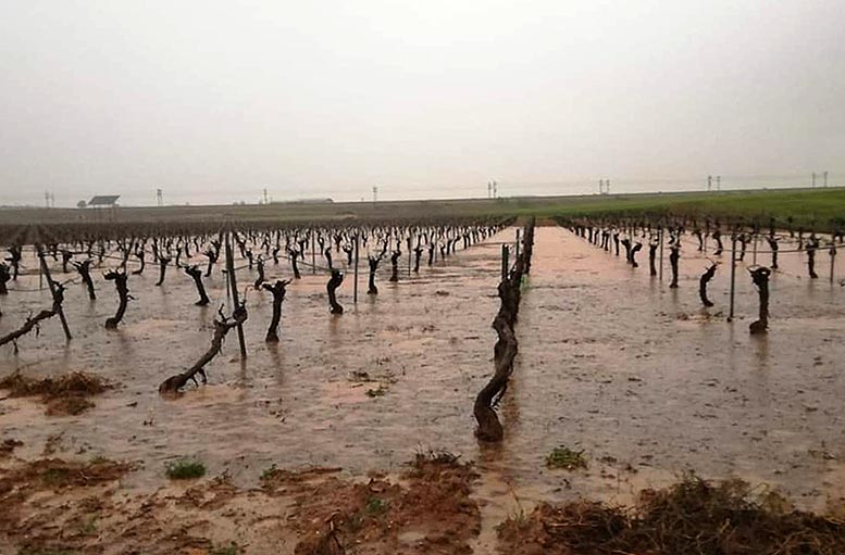daños cultivos tormentas