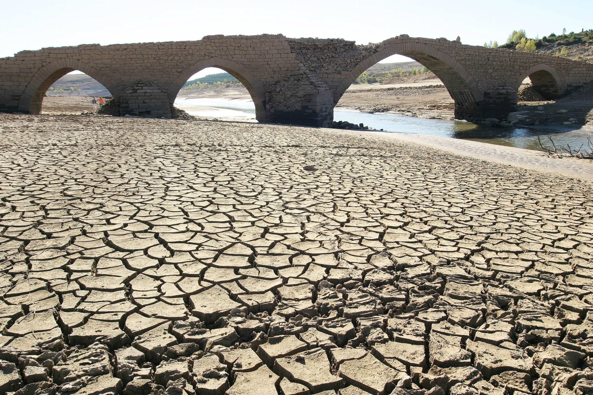 La sequía puede ser un asesino silencioso de la producción agrícola