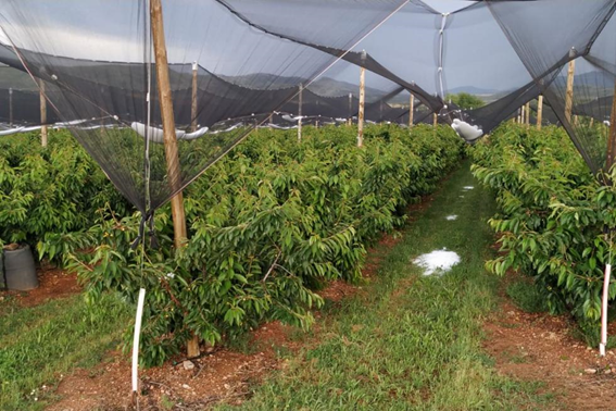 Granizo en Aragón Granizo en Aragón