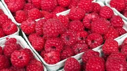 Andalucía agricultura Brexit