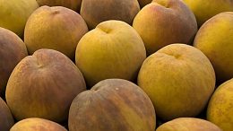 bajan precios melocotón albaricoque