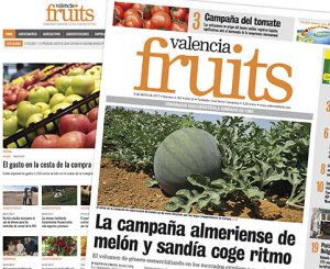 Valencia Fruits