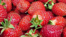 precios frutas hortalizas