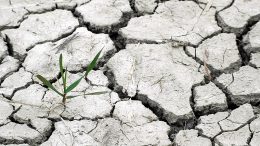 España situación prealerta por sequía