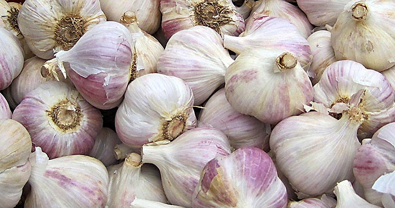 Ajo