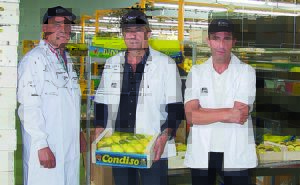 Frutas Condiso