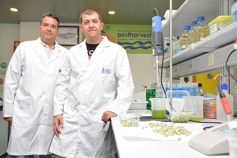 semillas frescas de haba listas para consumir