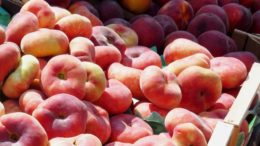 Fruta de hueso