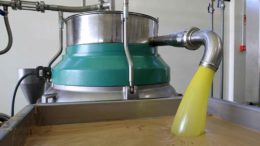 aceite de oliva