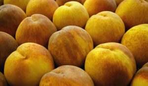 fruta de hueso
