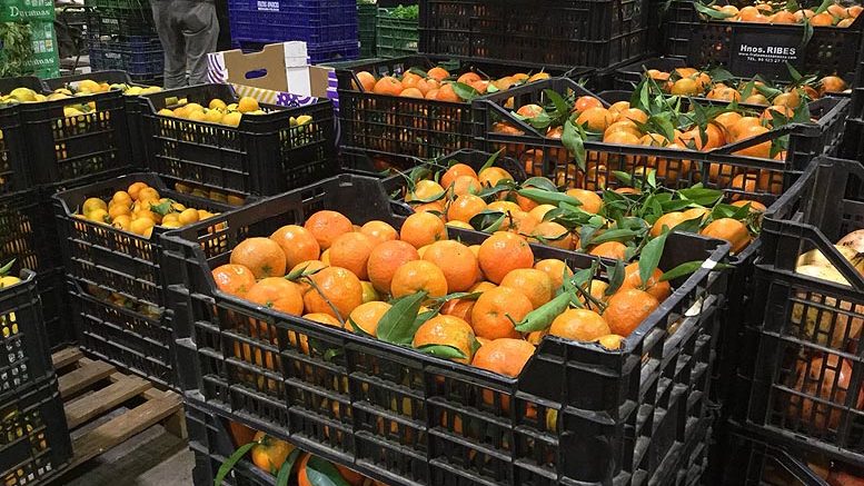 mandarinas en la Cabalgata de Reyes