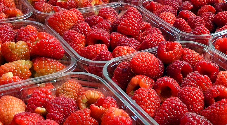 frutas y hortalizas
