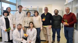 origen y domesticación de los cítricos