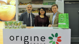 Origine Group