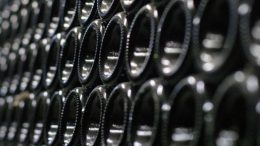 vino