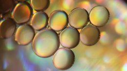 Aceite