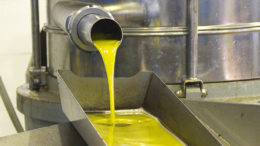 aceite de oliva