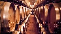 vino
