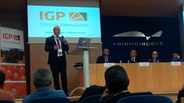 cítricos valencianos