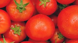 tomate y patata