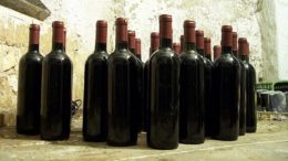 vino