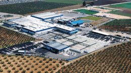 La Roda de Andalucía