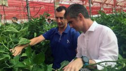 agricultura ecológica