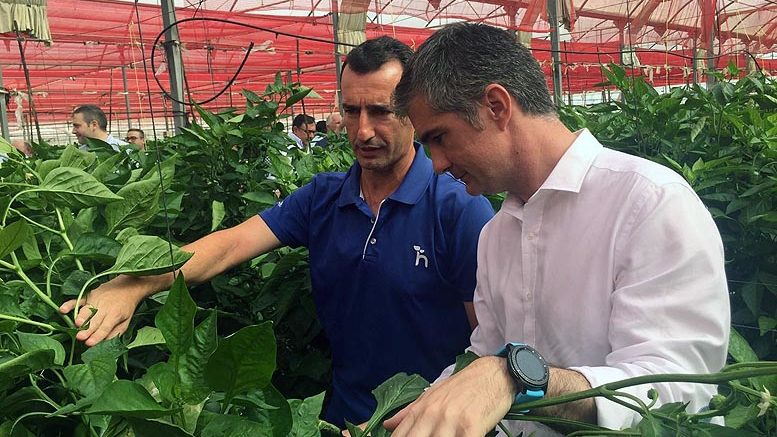 agricultura ecológica